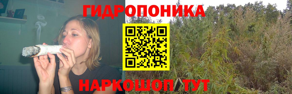 Марихуана семена  Марихуана MAZAR  Шишки марихуана гибрид  Керчь  Вход с VPN  Марихуана MAZAR 